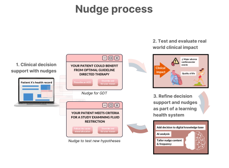 Nudge diagram