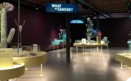 Image of cancer exhibition hall