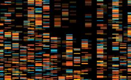Visualisation of genomic data