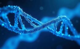 DNA representation
