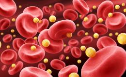 Cholesterol in the blood representation